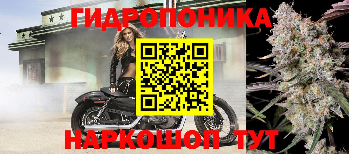 Канабис индика Арсеньев